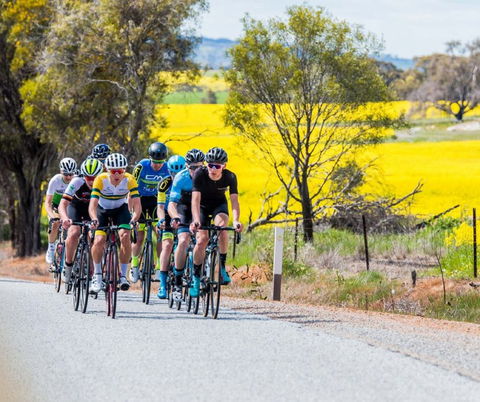 The West Side Story - Avon River Cycle Trail - Accommodation Sunshine Coast 1