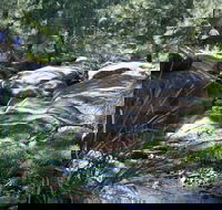 Towarri National Park - Accommodation Sunshine Coast