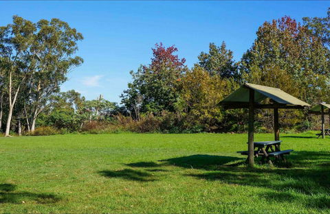 Tunks Hill Picnic Area - Accommodation Sunshine Coast 0