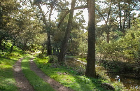 Turon National Park - Accommodation Sunshine Coast 0