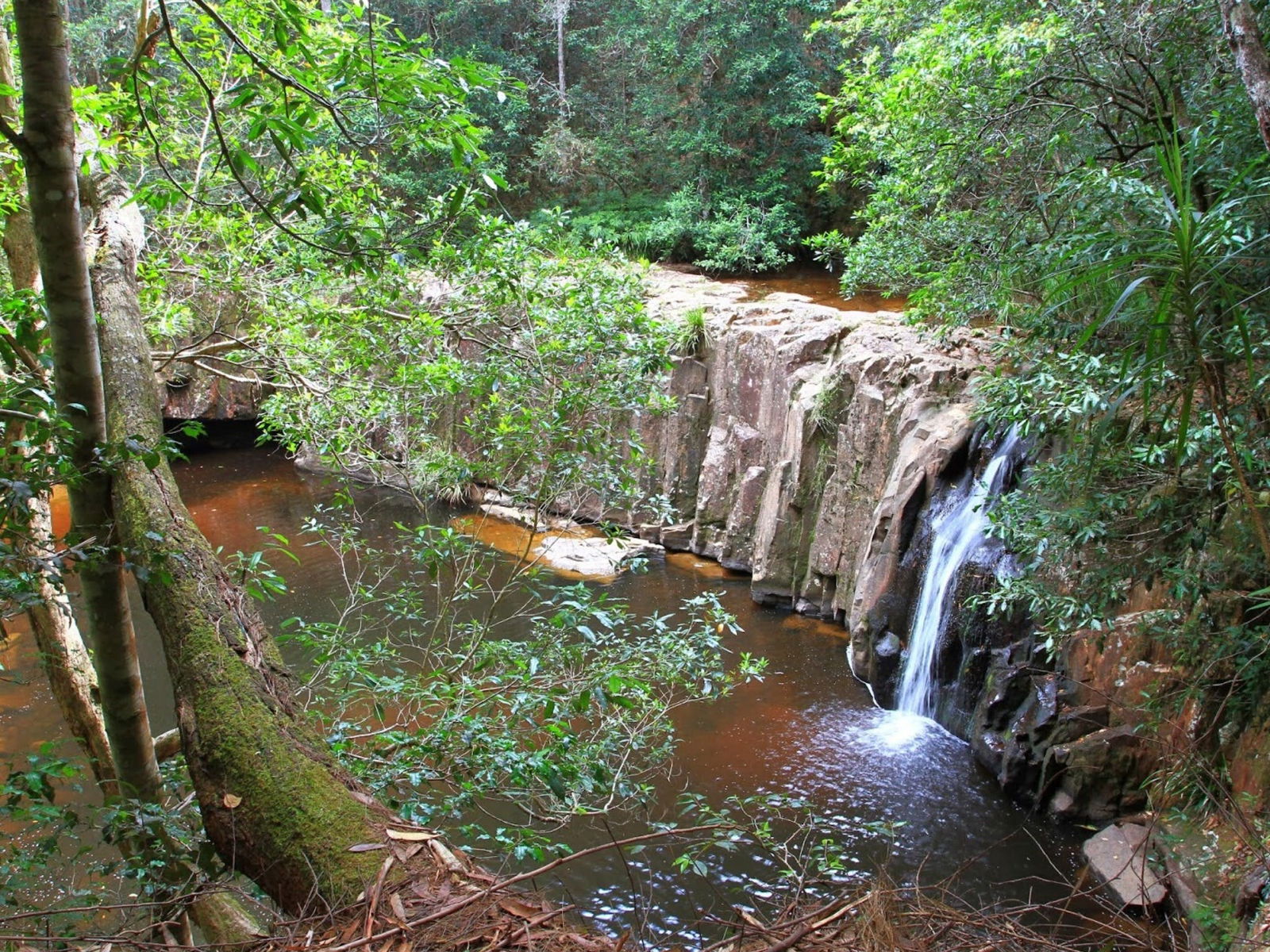 Waitui NSW Accommodation Sunshine Coast