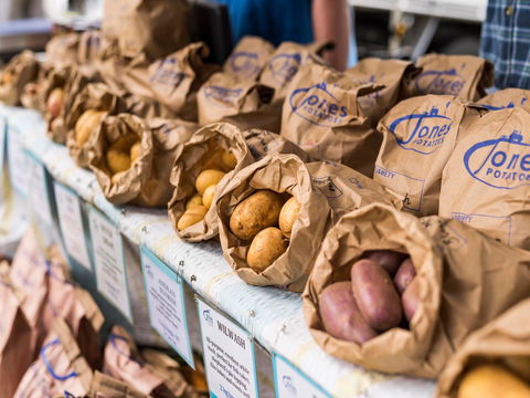 Warragul Farmers Market - Accommodation Sunshine Coast 2