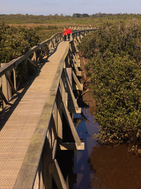 Warringine Park & Bittern Coastal Wetlands Boardwalk - Accommodation Sunshine Coast 0