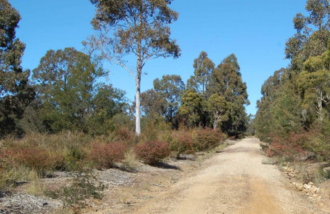 Werakata National Park - Accommodation Sunshine Coast 0