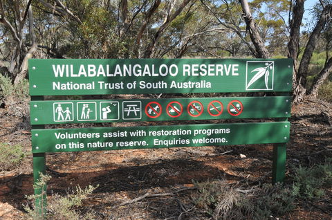 Wilabalangaloo Reserve - Accommodation Sunshine Coast 0