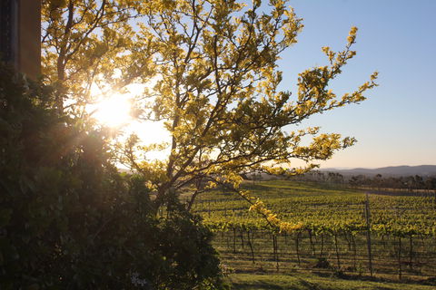 Wine Trail: Queanbeyan-Palerang - Accommodation Sunshine Coast 1