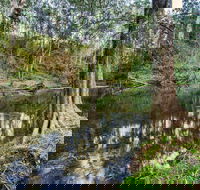 Woko National Park - Accommodation Sunshine Coast