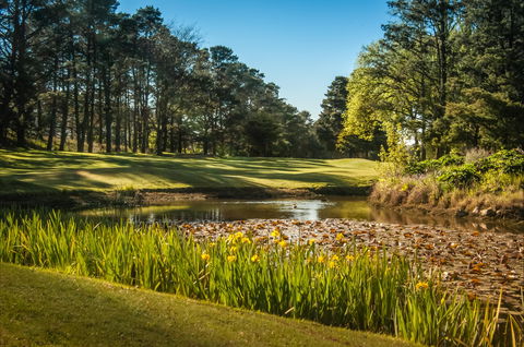 Yowani Country Club Incorporated - Accommodation Sunshine Coast 2