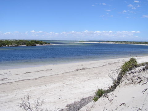 Acraman Creek Conservation Park - Accommodation Sunshine Coast 0