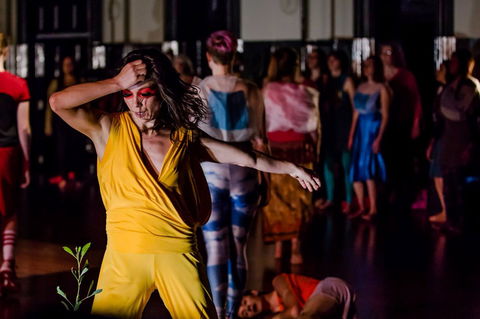 Arts House - Accommodation Sunshine Coast 0