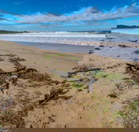 Avenue Beach - Accommodation Sunshine Coast