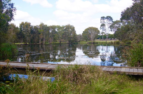 Baldwin Swamp Environmental Park - Accommodation Sunshine Coast 0