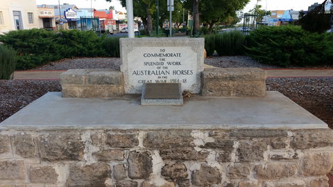 Barmera Horse Trough - Accommodation Sunshine Coast 0