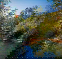 Bargo State Conservation Area - Accommodation Sunshine Coast