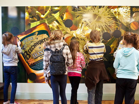 Beechworth Honey Shop - Accommodation Sunshine Coast 2