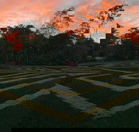 Bellingham Maze - Accommodation Sunshine Coast