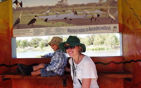 Bird Watching In Narrandera - Accommodation Sunshine Coast 0