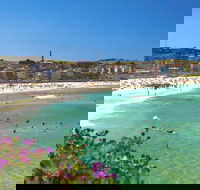 Bondi - Accommodation Sunshine Coast