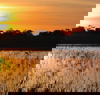 Bool Lagoon Game Reserve and Hacks Lagoon Conservation Park - Accommodation Sunshine Coast
