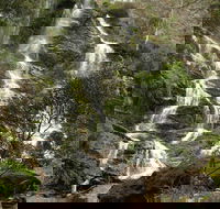 Buddong Falls Walking Track - Accommodation Sunshine Coast
