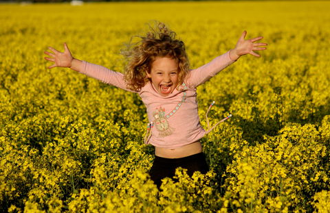 Canola Trail - Accommodation Sunshine Coast 0