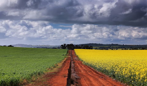 Canola Trail - Accommodation Sunshine Coast 1