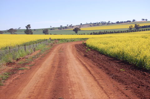 Canola Trail - Accommodation Sunshine Coast 2