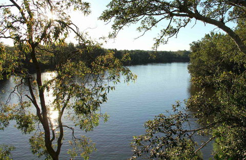 Cattai National Park - Accommodation Sunshine Coast 0