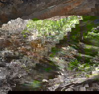 Cave Creek Walking Track - Accommodation Sunshine Coast