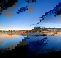 Cecil Hoskins Nature Reserve - Accommodation Sunshine Coast