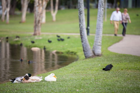 Centenary Lakes Park - Accommodation Sunshine Coast 2