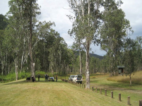 Chaelundi National Park - Accommodation Sunshine Coast 0