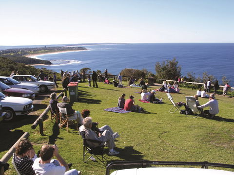 Crackneck Point Lookout - Accommodation Sunshine Coast 0
