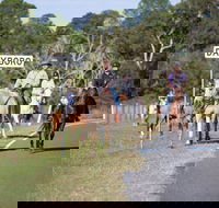 Dayboro - Accommodation Sunshine Coast