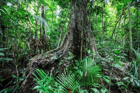 Djiru National Park - Accommodation Sunshine Coast 0
