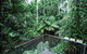 Djiru National Park - thumb 1
