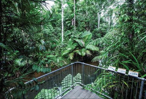 Djiru National Park - Accommodation Sunshine Coast 1