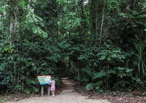 Djiru National Park - Accommodation Sunshine Coast 2