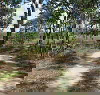 Djukbinj National Park - Accommodation Sunshine Coast