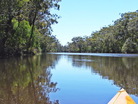 Esk River - Accommodation Sunshine Coast 0