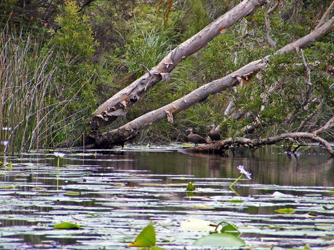 Esk River - Accommodation Sunshine Coast 1