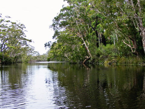 Esk River - Accommodation Sunshine Coast 2