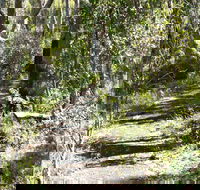 Euglah Rock Walking Track - Accommodation Sunshine Coast