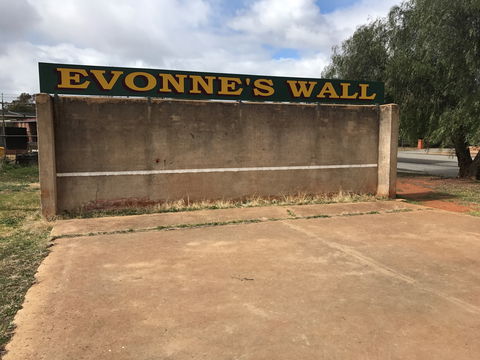Evonne Goolagong-Cawley Wall - Accommodation Sunshine Coast 0