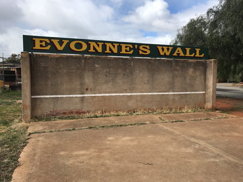 Evonne Goolagong-Cawley Wall - Accommodation Sunshine Coast 1