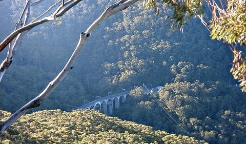 Forest Walk To Sublime Point Track - Accommodation Sunshine Coast 0