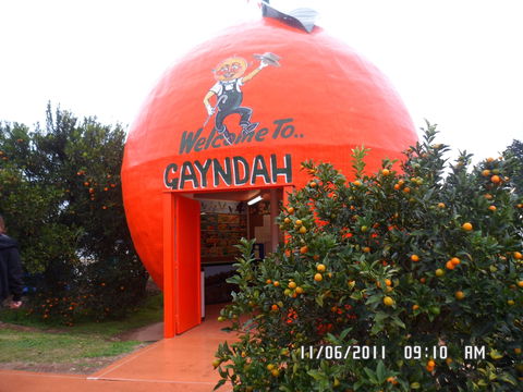 Gayndah's Big Orange - Accommodation Sunshine Coast 2