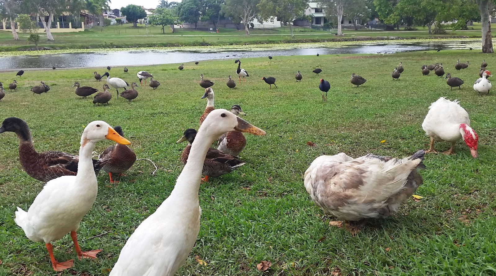  Accommodation Sunshine Coast
