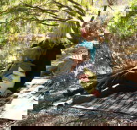 Haig Street Quarry Bushland Reserve Trails - Accommodation Sunshine Coast