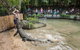 Hartley's Crocodile Adventures - thumb 0